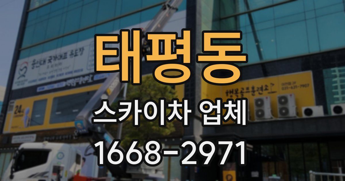 태평동 스카이차 업체