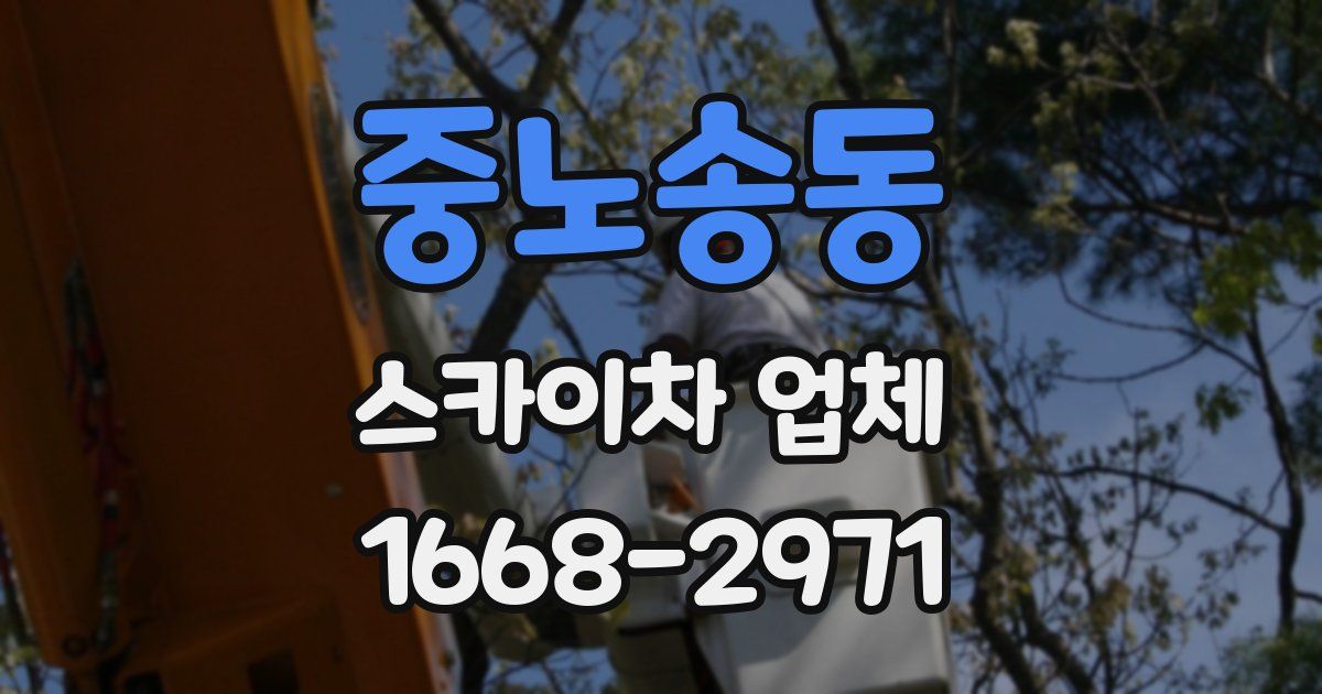 중노송동 스카이차 업체