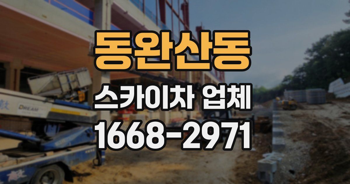 동완산동 스카이차 업체