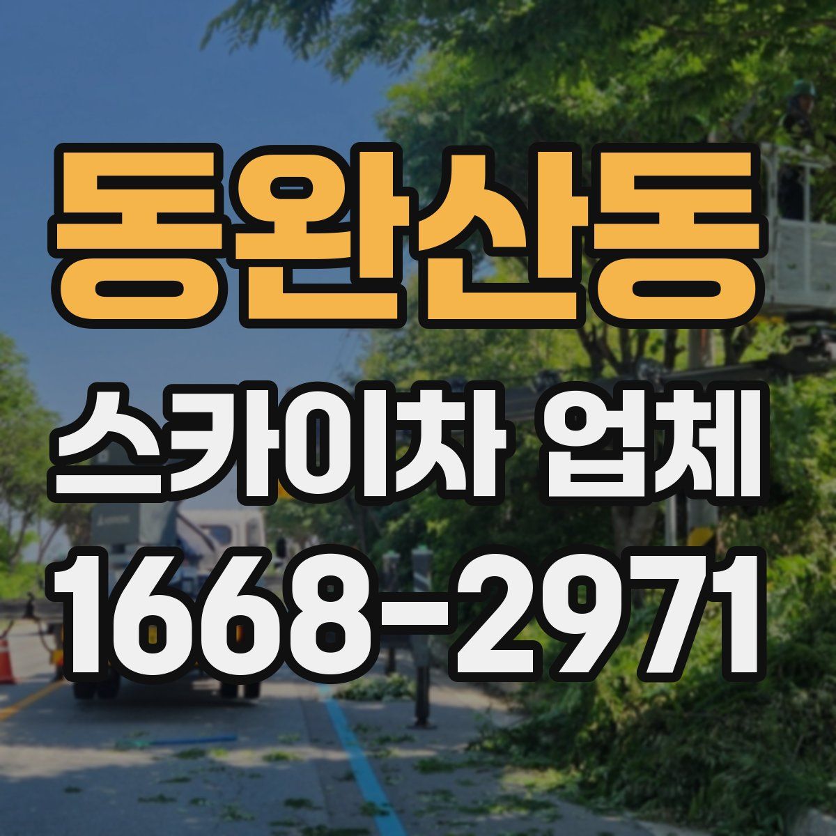 동완산동 스카이차 업체