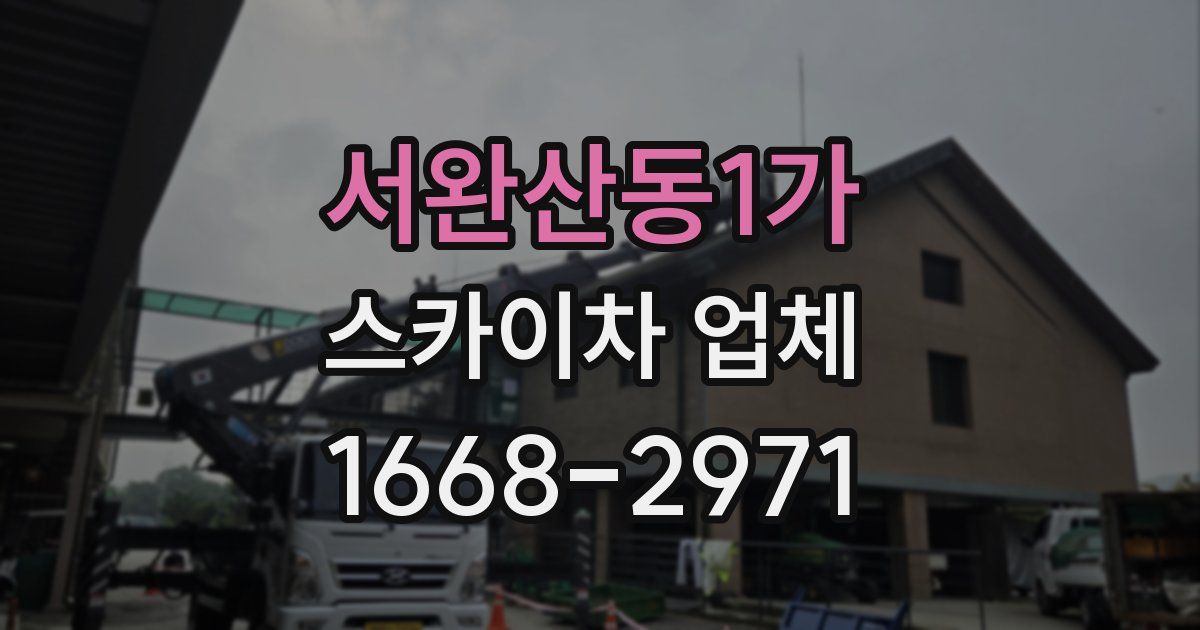서완산동1가 스카이차 업체