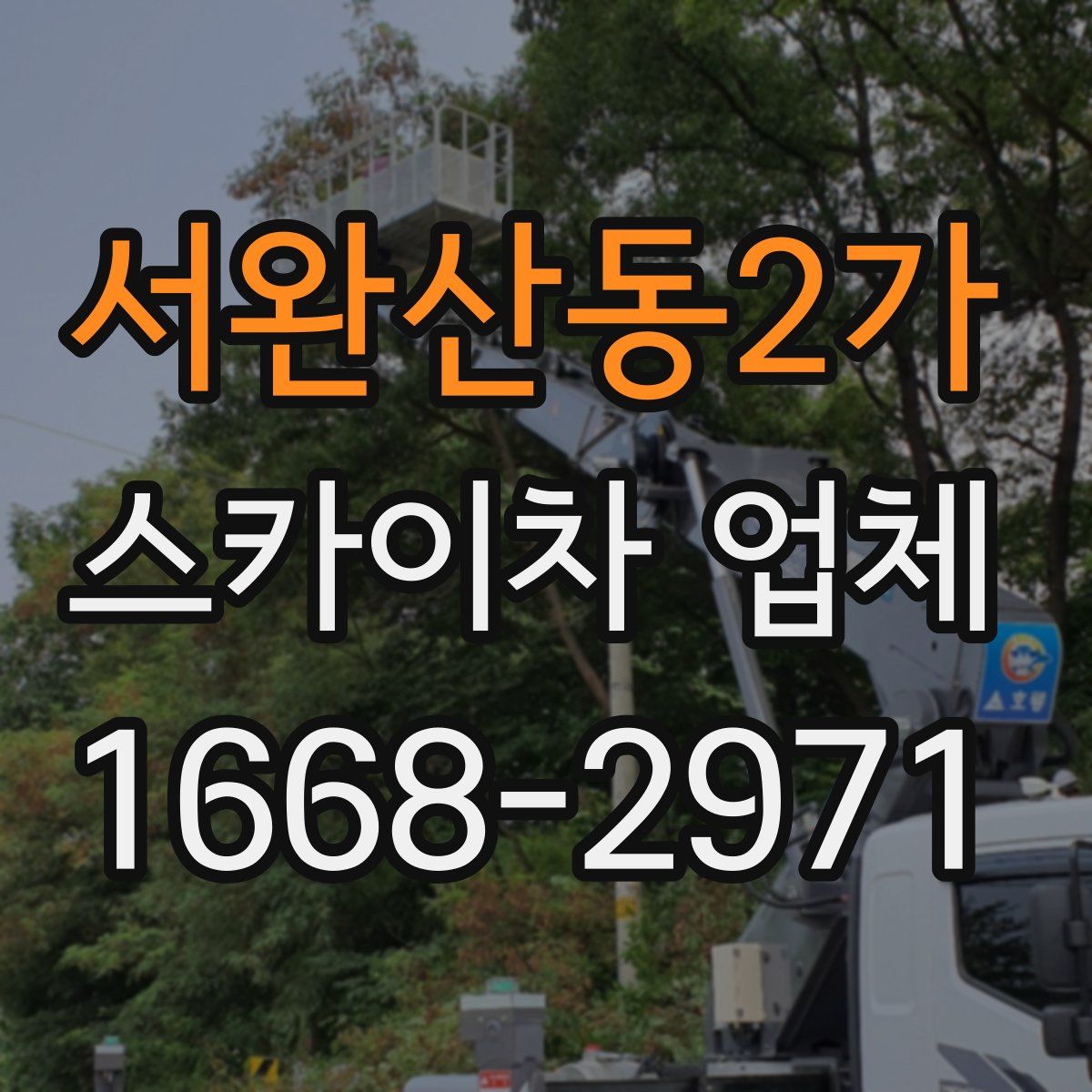 서완산동2가 스카이차 업체