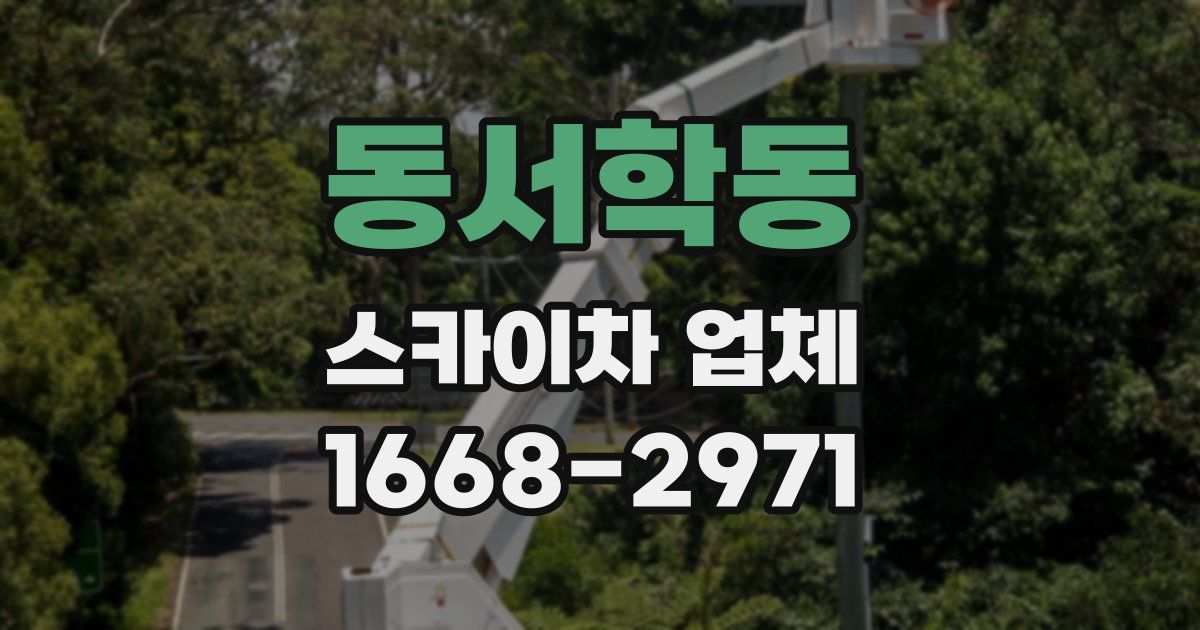 동서학동 스카이차 업체