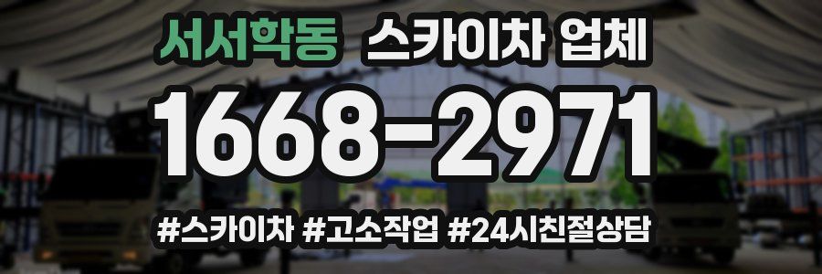 서서학동 스카이차 업체