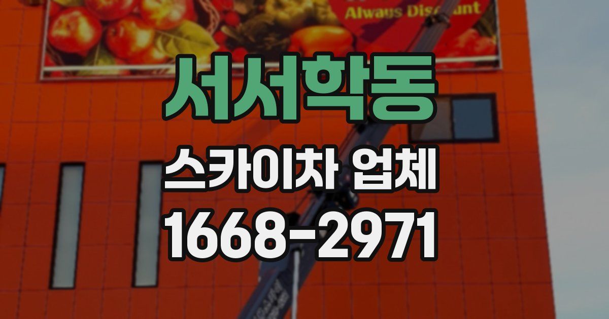 서서학동 스카이차 업체
