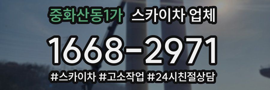 중화산동1가 스카이차 업체