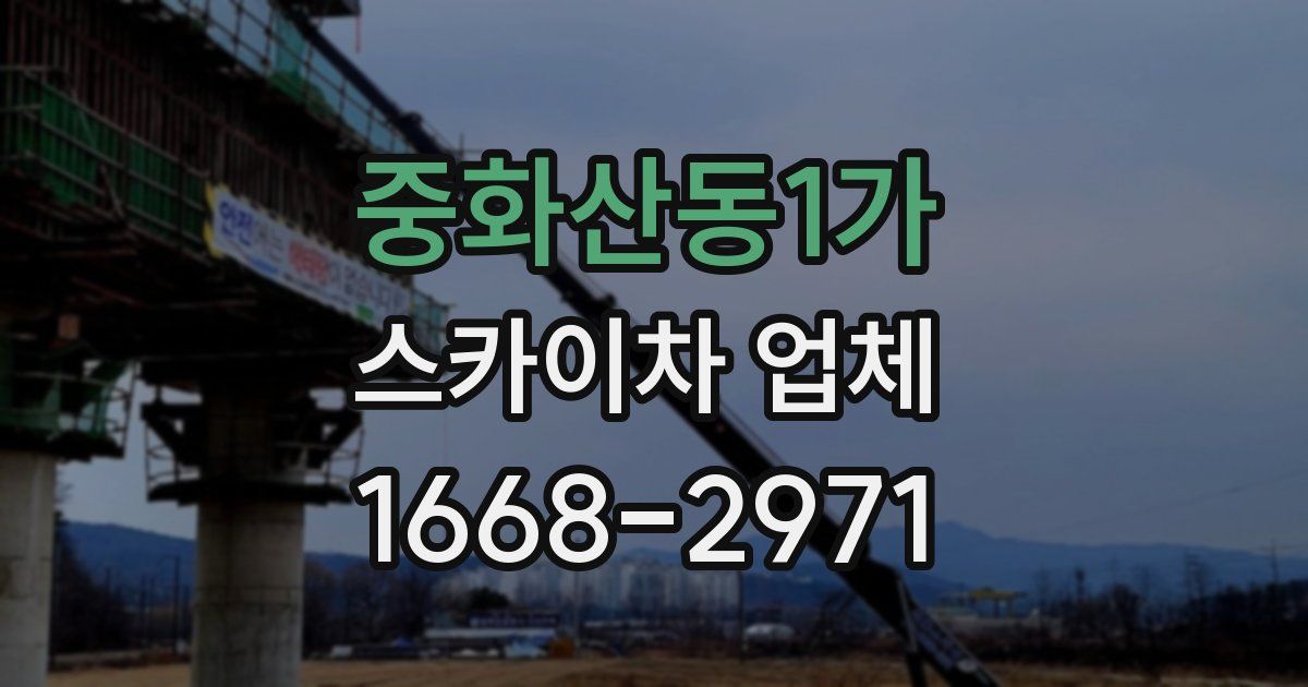 중화산동1가 스카이차 업체
