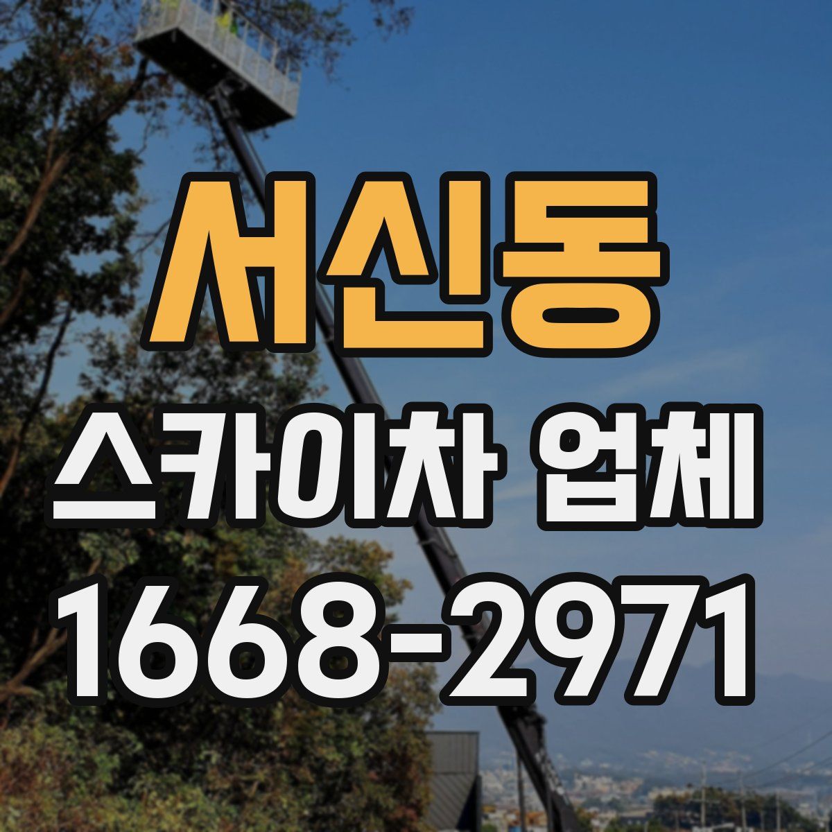 서신동 스카이차 업체