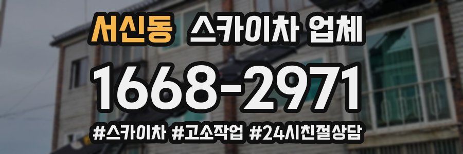 서신동 스카이차 업체
