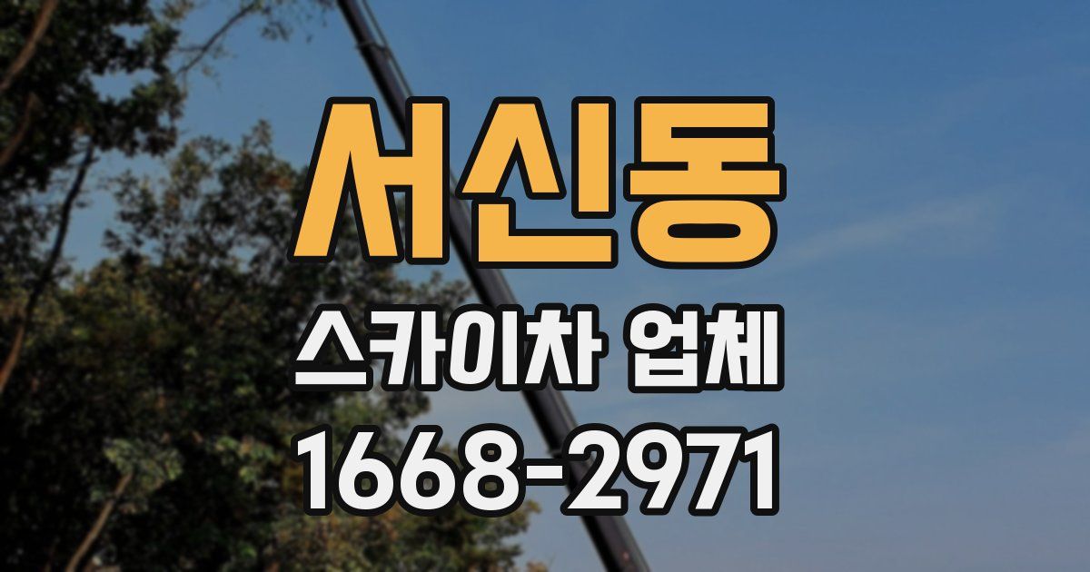 서신동 스카이차 업체