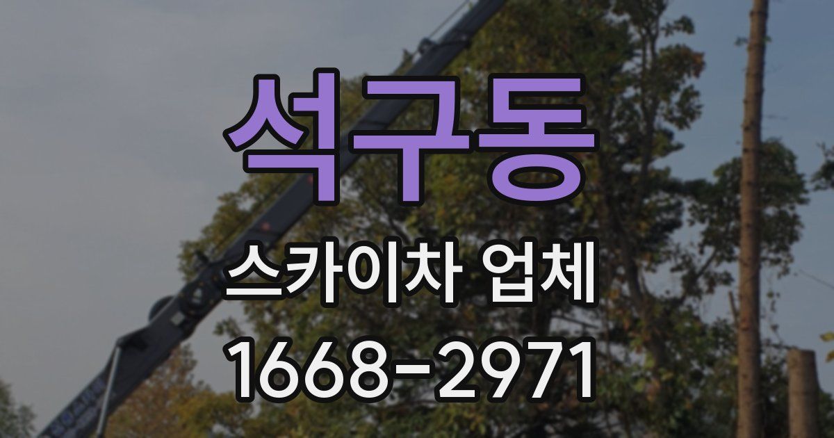 석구동 스카이차 업체