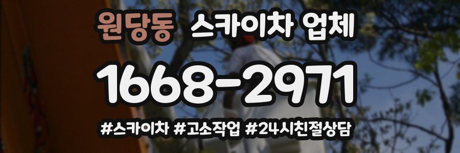 원당동 스카이차 업체