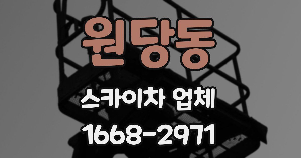원당동 스카이차 업체