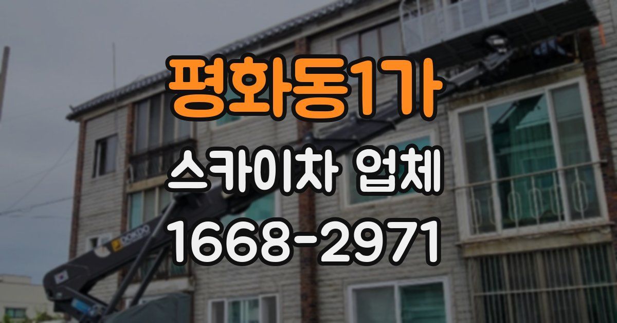 평화동1가 스카이차 업체