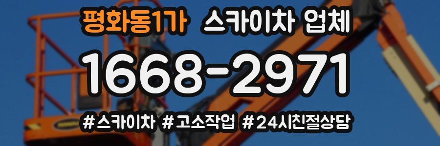 평화동1가 스카이차 업체