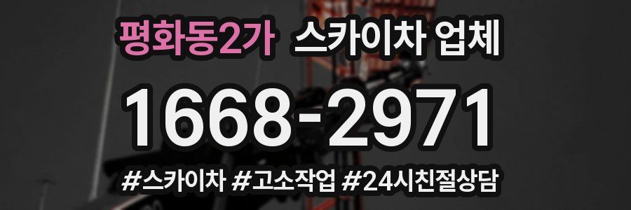 평화동2가 스카이차 업체