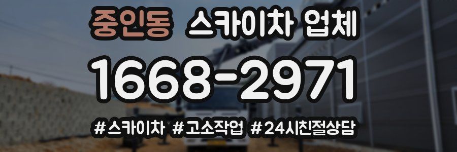 중인동 스카이차 업체