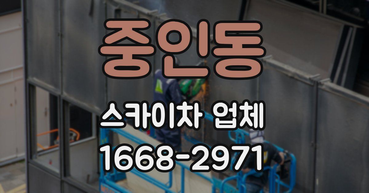 중인동 스카이차 업체