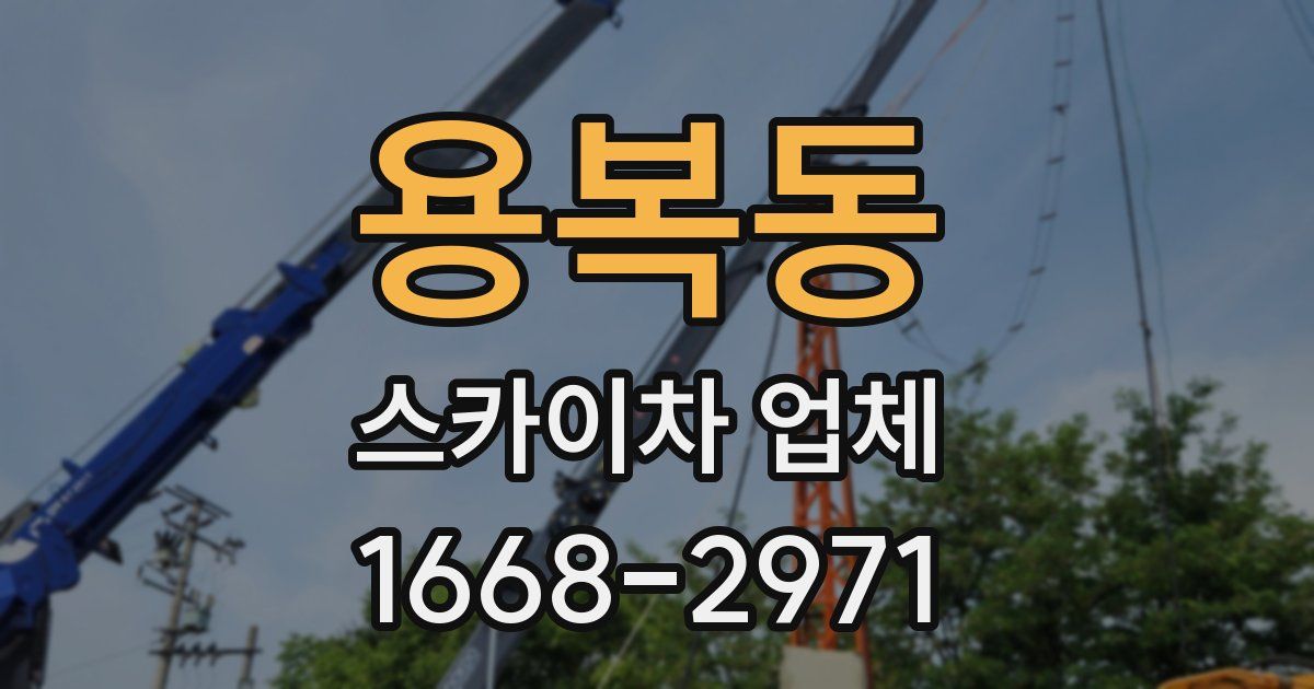 용복동 스카이차 업체