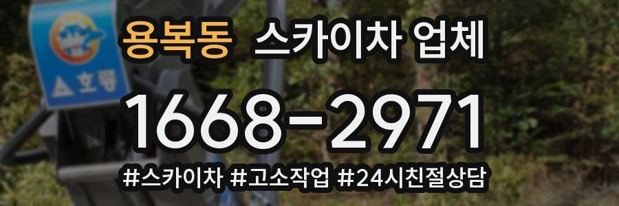 용복동 스카이차 업체