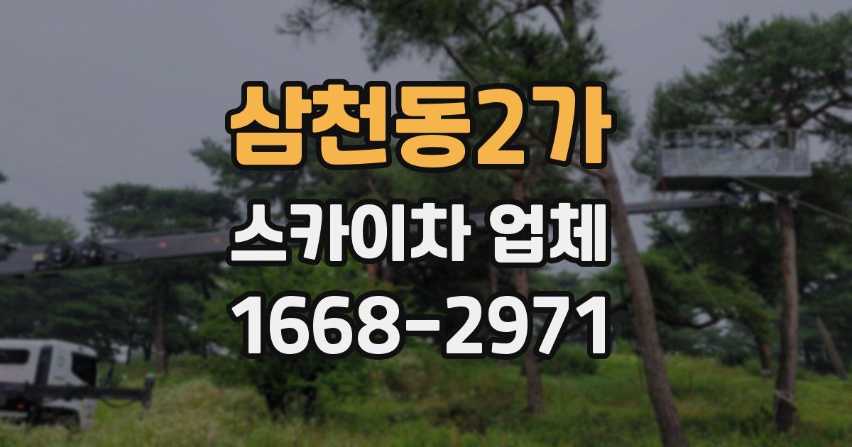 삼천동2가 스카이차 업체