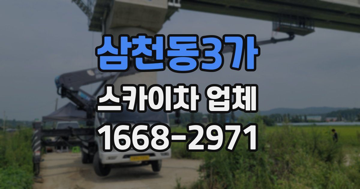 삼천동3가 스카이차 업체
