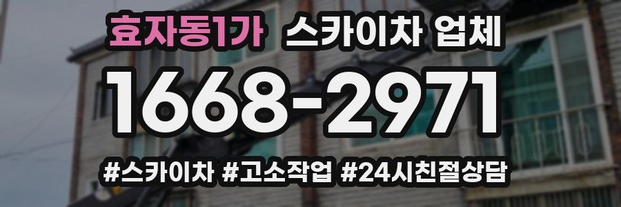 효자동1가 스카이차 업체