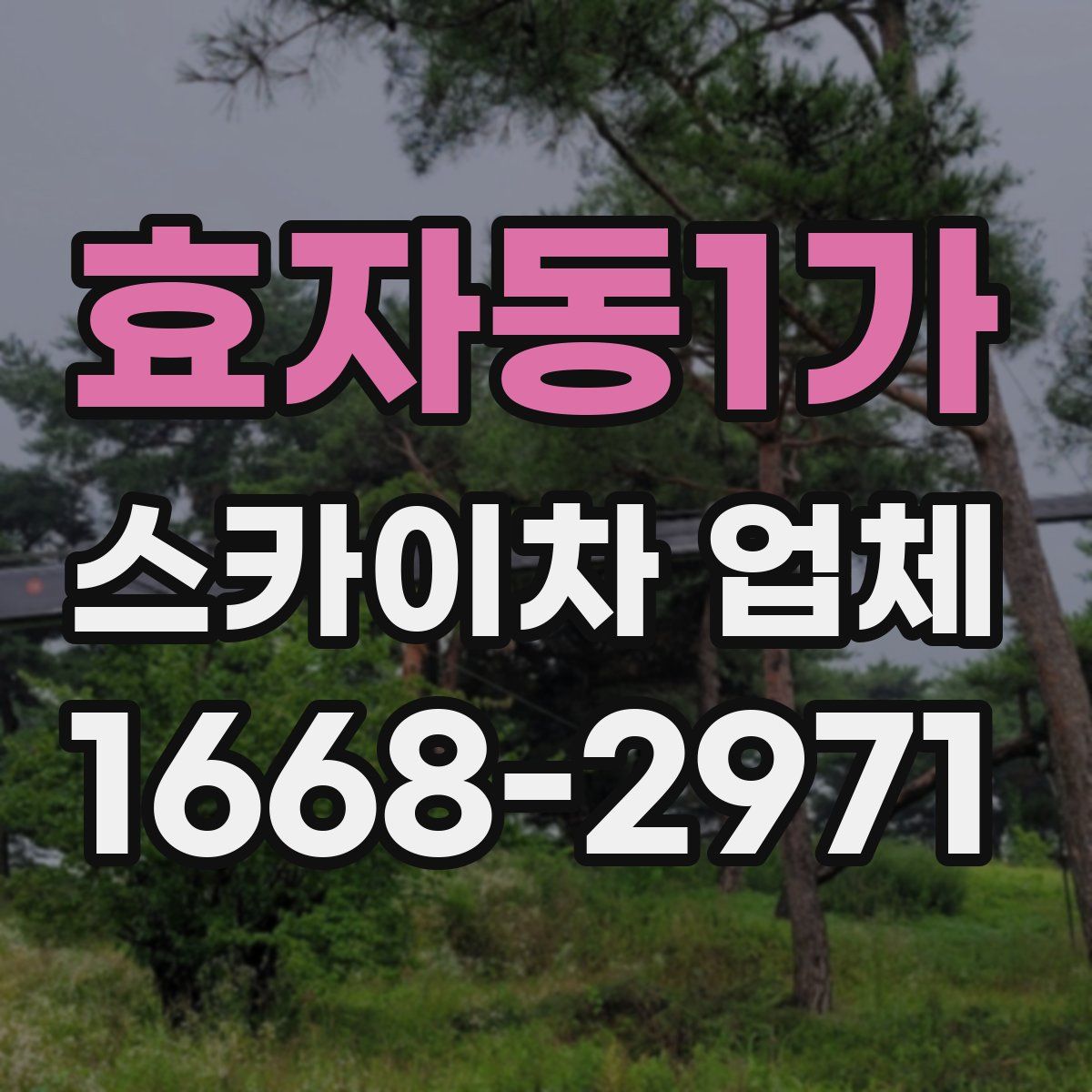 효자동1가 스카이차 업체