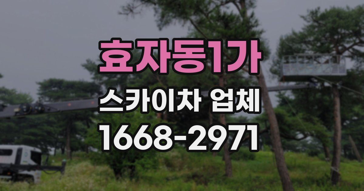 효자동1가 스카이차 업체
