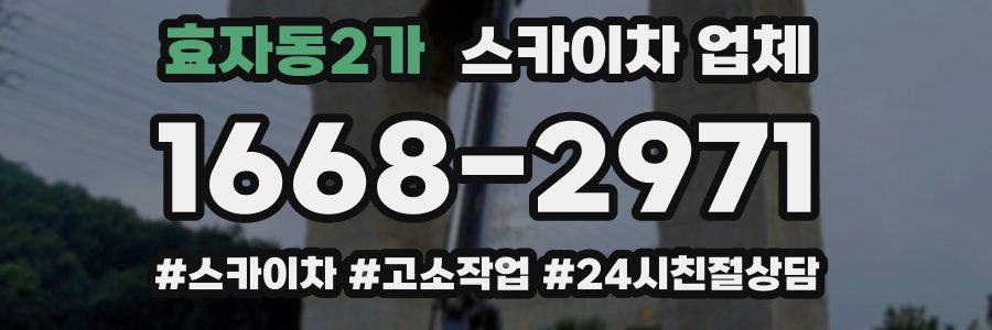효자동2가 스카이차 업체