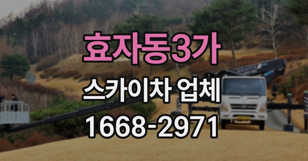 효자동3가 스카이차 업체