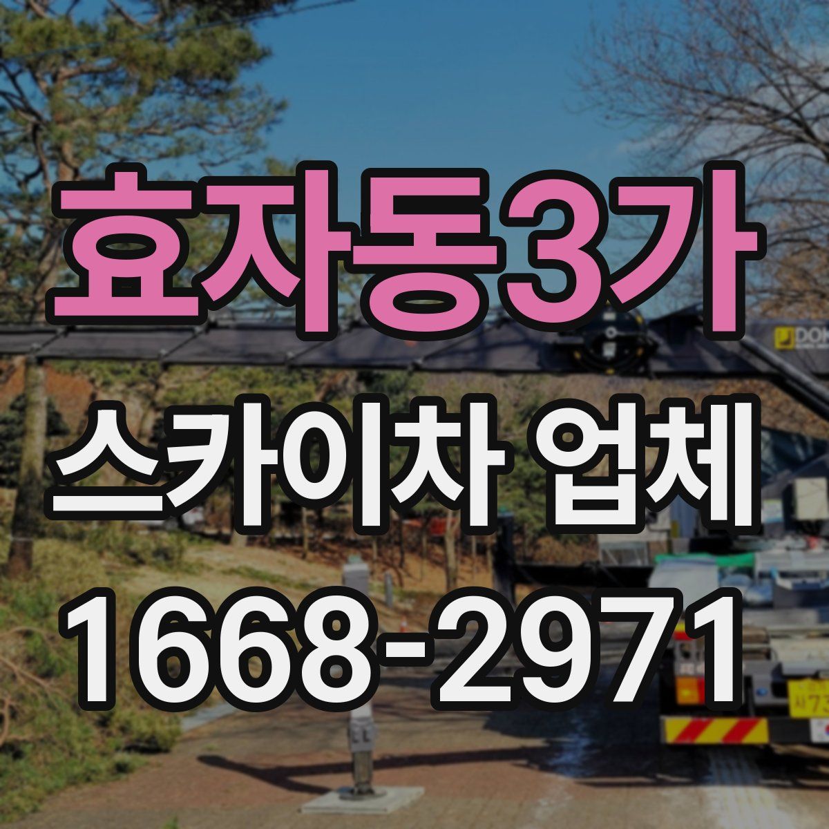 효자동3가 스카이차 업체