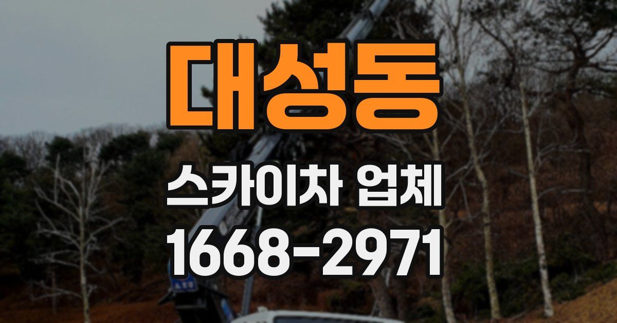 대성동 스카이차 업체