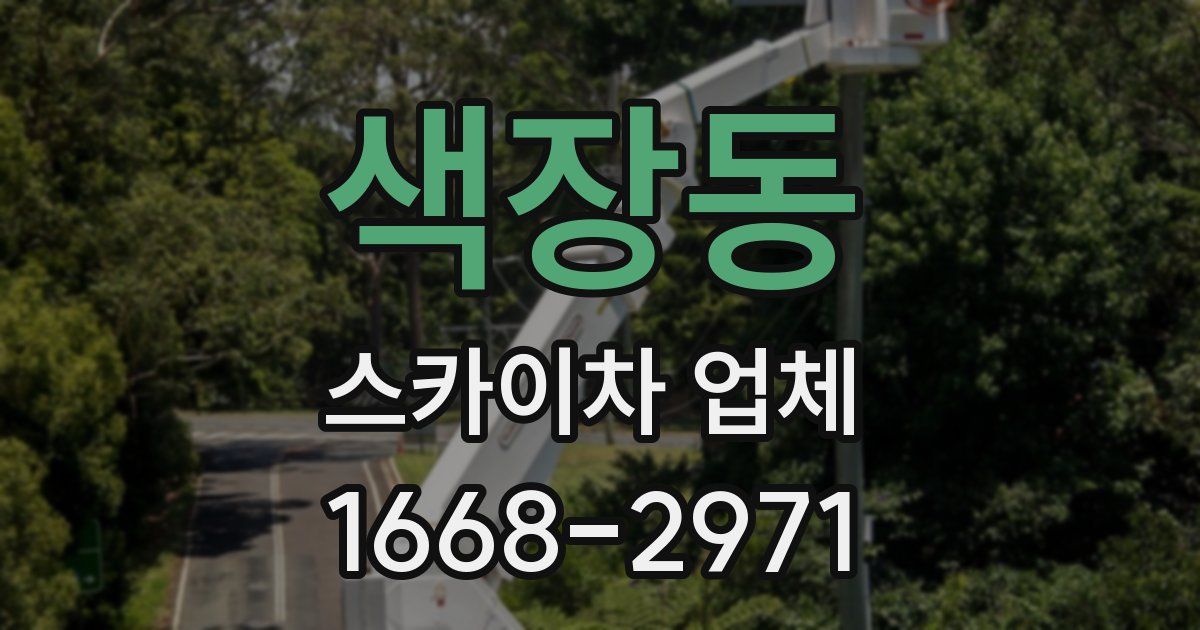 색장동 스카이차 업체