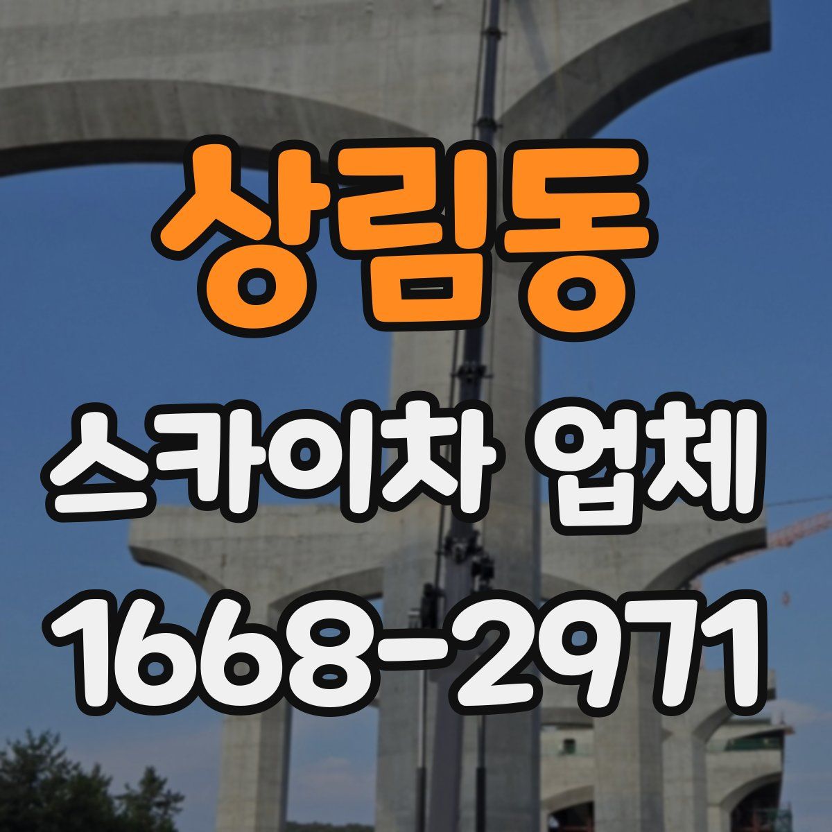 상림동 스카이차 업체