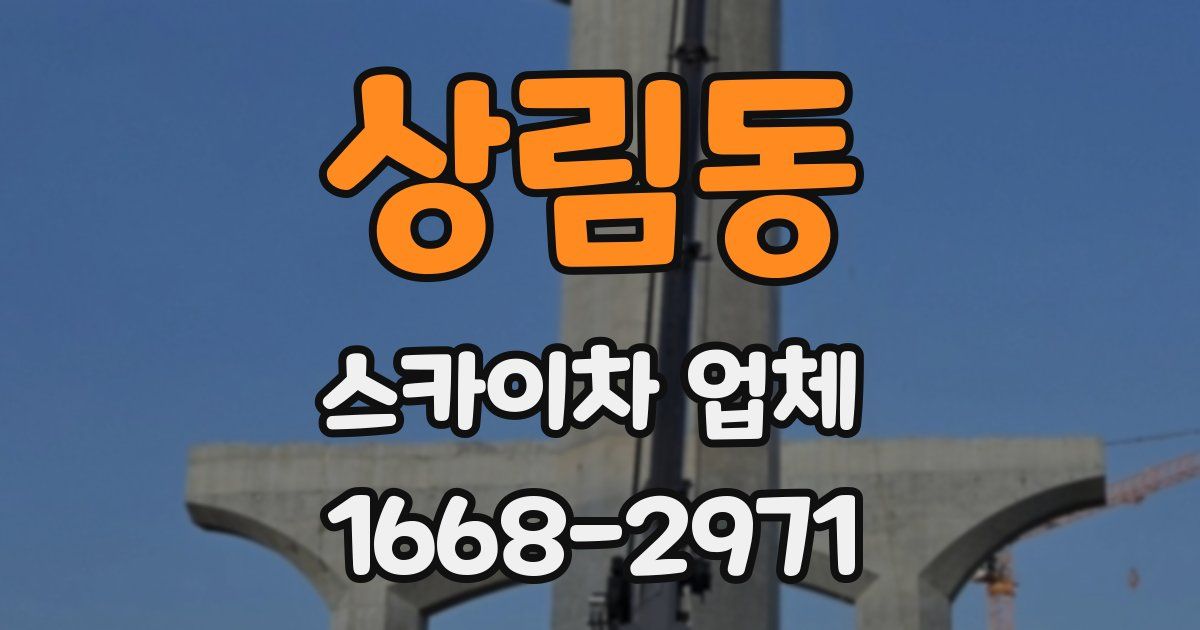 상림동 스카이차 업체