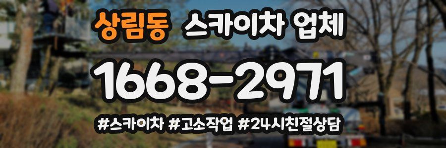 상림동 스카이차 업체