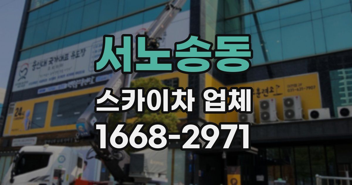 서노송동 스카이차 업체