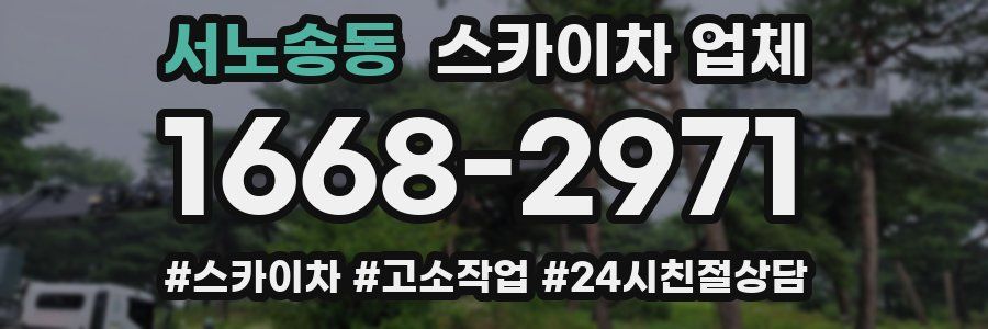 서노송동 스카이차 업체