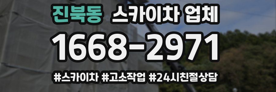 진북동 스카이차 업체