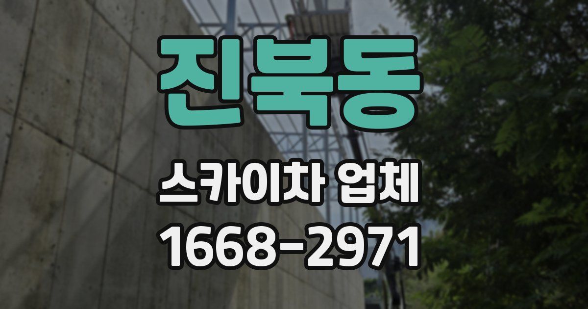 진북동 스카이차 업체