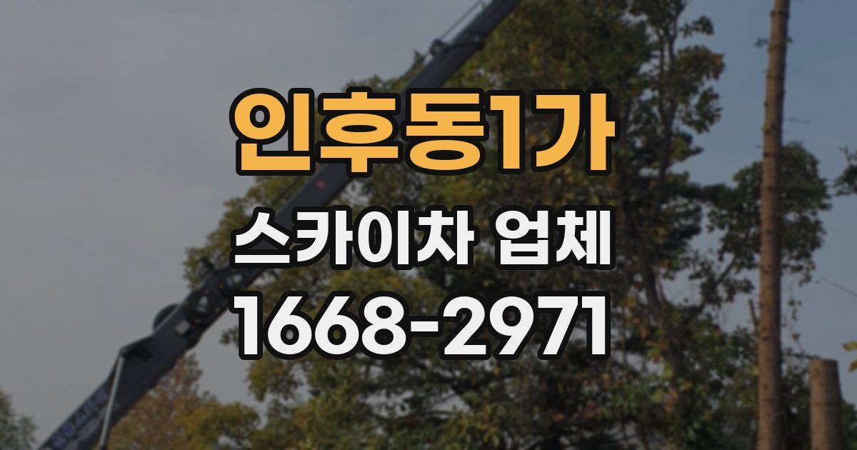 인후동1가 스카이차 업체