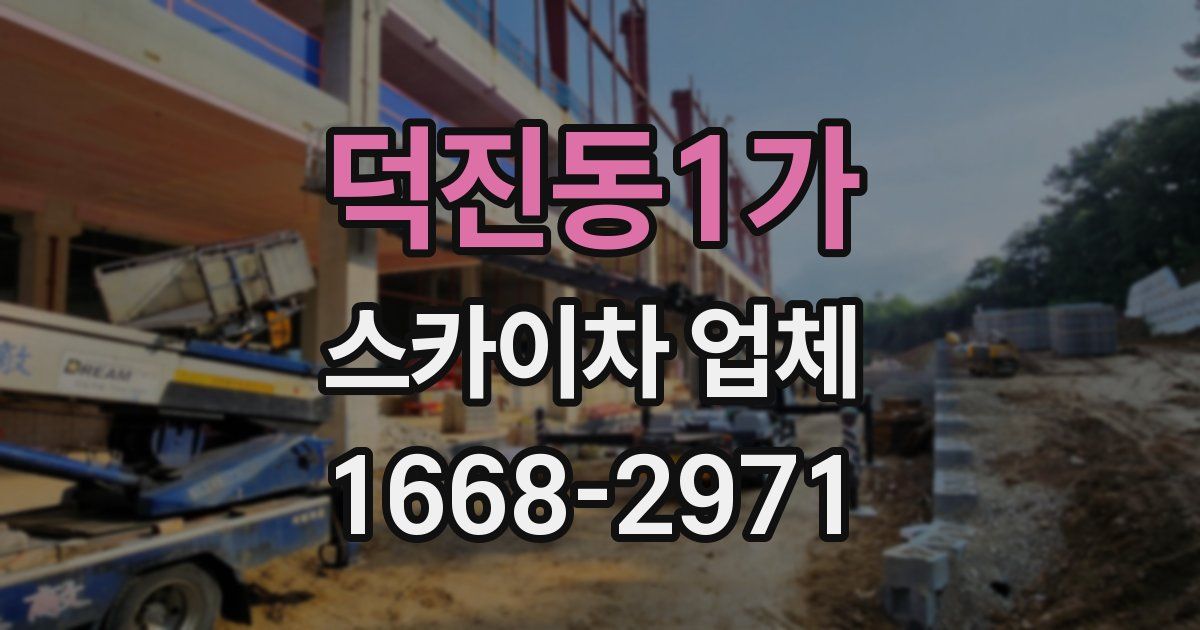 덕진동1가 스카이차 업체