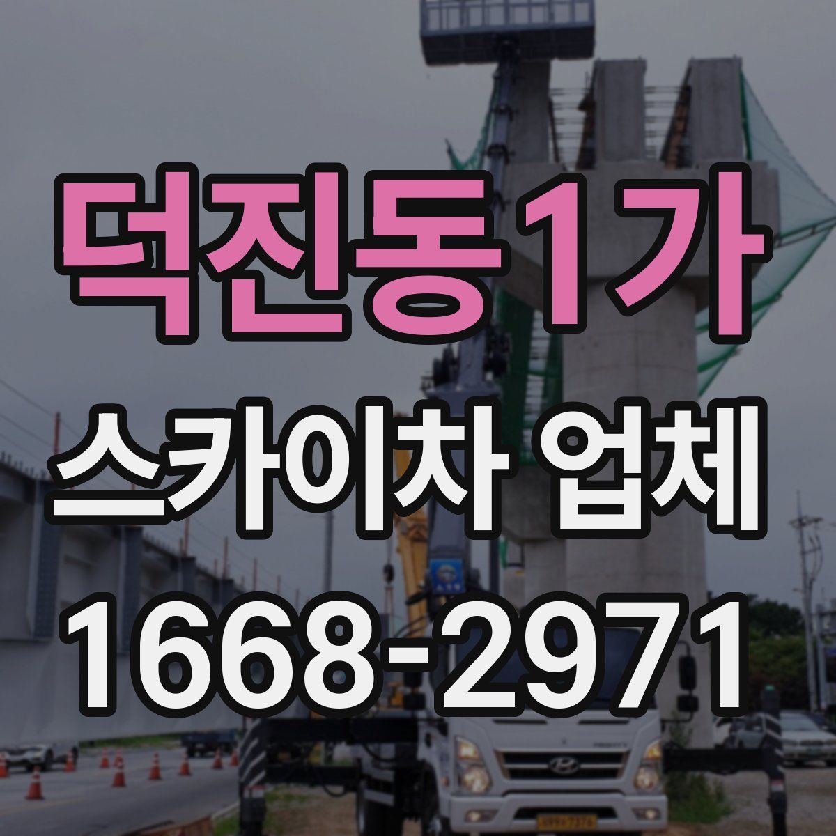덕진동1가 스카이차 업체