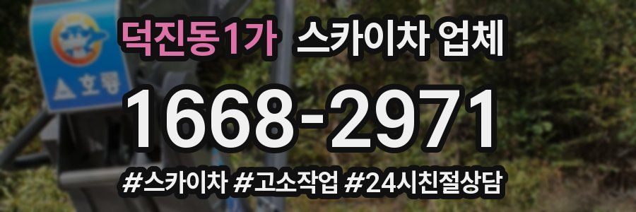 덕진동1가 스카이차 업체