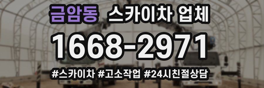 금암동 스카이차 업체