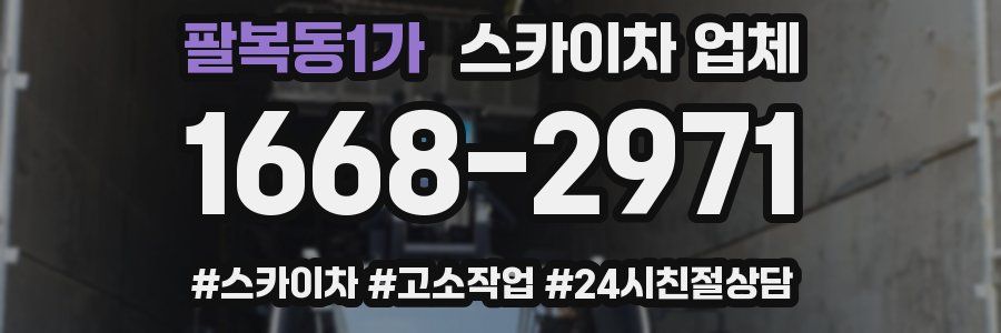 팔복동1가 스카이차 업체