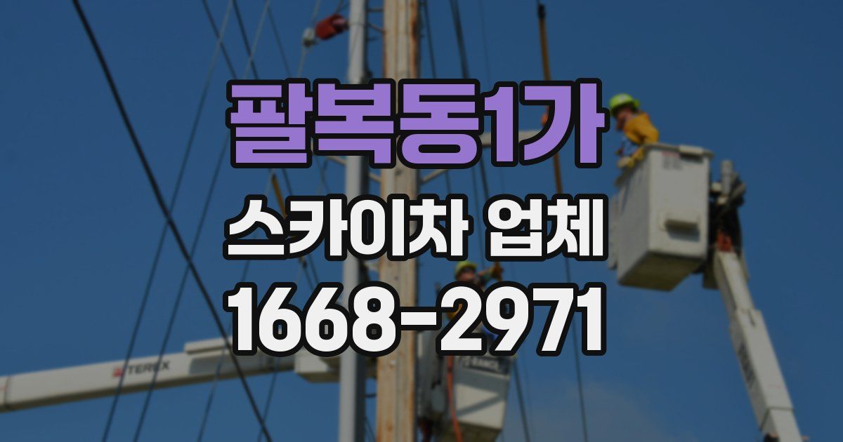 팔복동1가 스카이차 업체