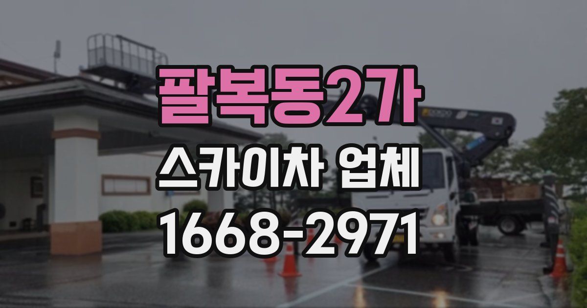 팔복동2가 스카이차 업체