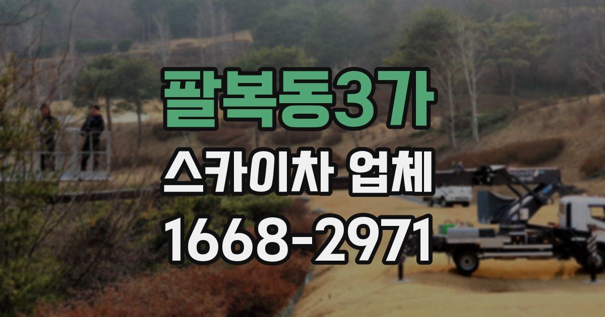 팔복동3가 스카이차 업체